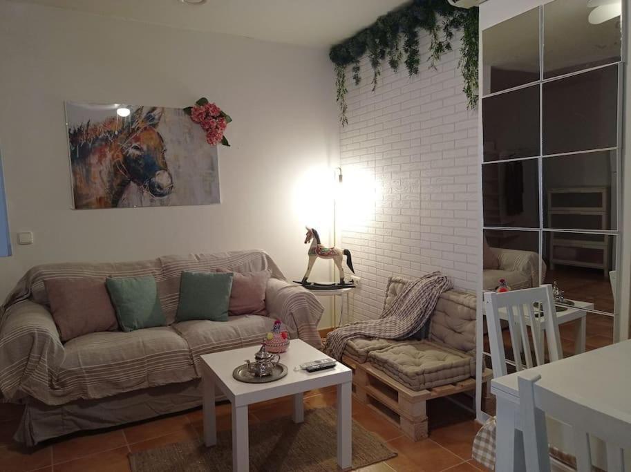 شقة Precioso Loft En El Centro De Cordoba. المظهر الخارجي الصورة