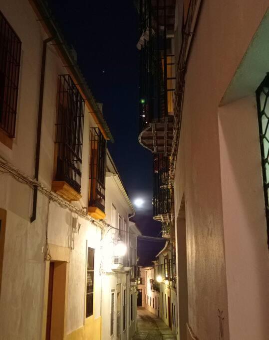 شقة Precioso Loft En El Centro De Cordoba. المظهر الخارجي الصورة
