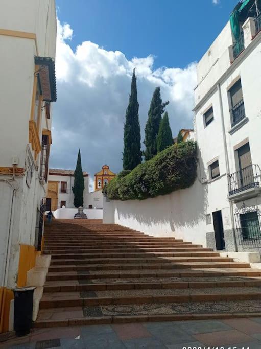 شقة Precioso Loft En El Centro De Cordoba. المظهر الخارجي الصورة