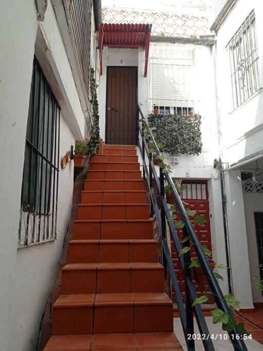 شقة Precioso Loft En El Centro De Cordoba. المظهر الخارجي الصورة